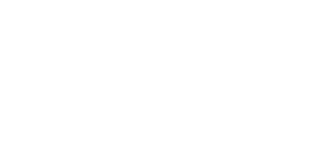 fspyeni-logo